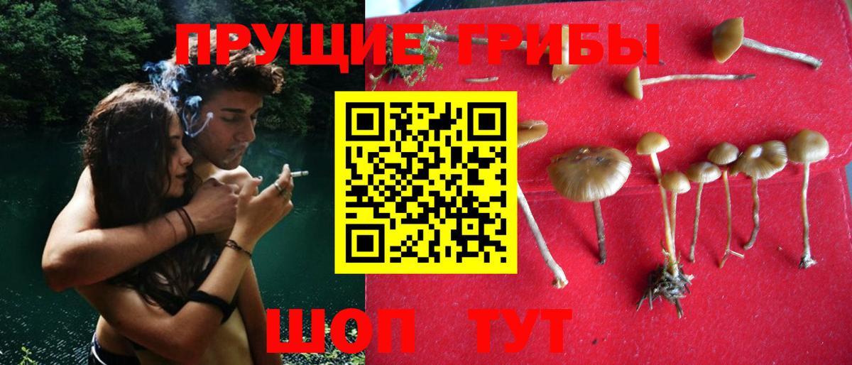 Великий Новгород  Галлюциногенные грибы ЛСД  Вход с VPN  Псилоцибиновые грибы ЛСД 