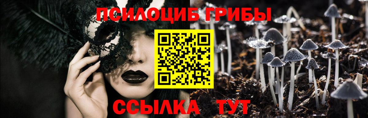 Галлюциногенные грибы прущие грибы Великий Новгород